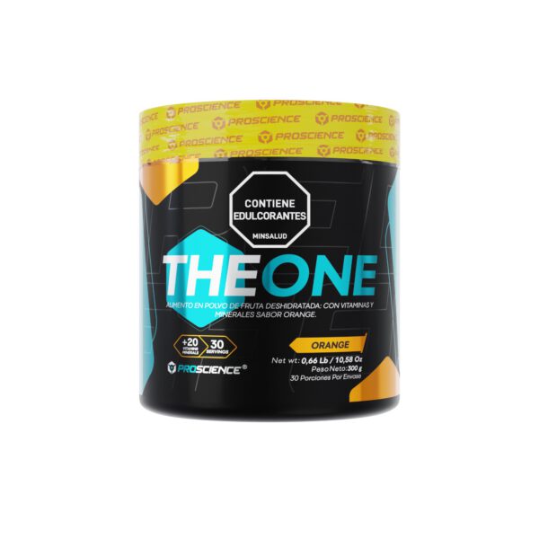 THE ONE MULTIVITAMINICO X 300 GR