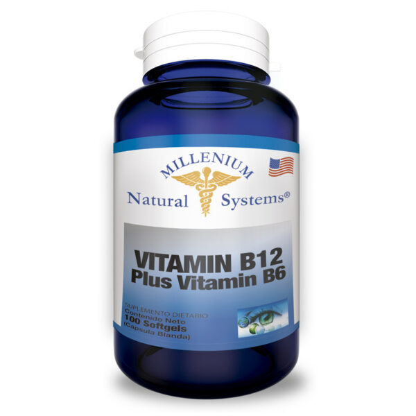 VITAMINA B12 + B6 FCO X 100 CAP